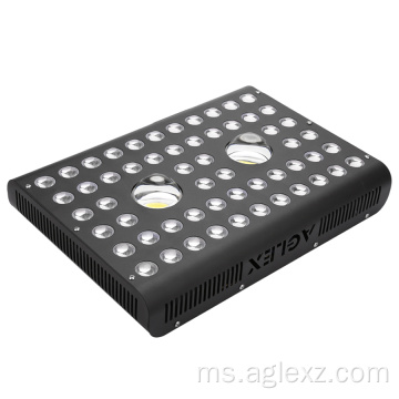 Mentol Penuh Spektrum Penuh 1200 Watt